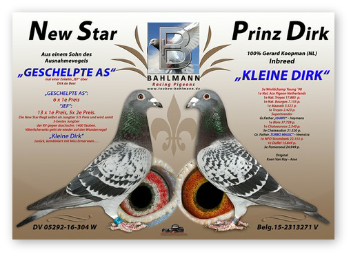 Collage NEW STAR x PRINZ DIRK.jpg