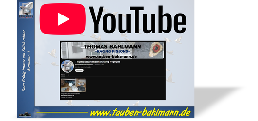 Janssenbuch 2023 M.pdf